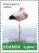 Colnect-4804-825-Andean-Flamingo-Phoenicoparrus-andinus.jpg