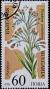 Colnect-1158-909-Rindera-umbellata.jpg