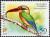 Colnect-3433-447-Stork-billed-Kingfisher-Pelargopsis-capensis.jpg