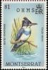 Colnect-1785-081-Belted-Kingfisher-Ceryle-alcyon.jpg