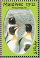 Colnect-1631-445-King-Penguin-Aptenodytes-patagonicus.jpg