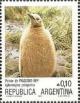 Colnect-1632-420-King-Penguin-Aptenodytes-patagonica.jpg