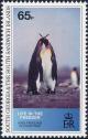 Colnect-5169-520-King-Penguin-Aptenodytes-patagonica.jpg