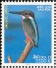 Colnect-1614-718-Common-Kingfisher-Alcedo-atthis.jpg