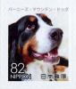 Colnect-5284-651-Bernese-Mountain-Dog-Canis-lupus-familiaris.jpg