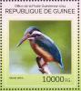 Colnect-3874-107-Common-Kingfisher-Alcedo-atthis.jpg