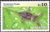 Colnect-3742-062-Water-Scorpion-Laccotrephes-annulipes.jpg