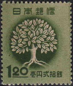 Afforestation_1948.JPG