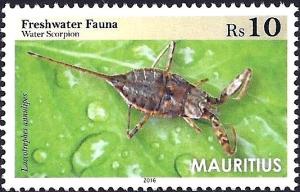 Colnect-3742-062-Water-Scorpion-Laccotrephes-annulipes.jpg