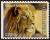 Colnect-4934-822-Lion-Panthera-leo.jpg