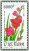 Colnect-1656-471-Magenta-gladioli-Gladiolus-hybridus-hort.jpg