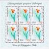 Colnect-5451-937-Tulipa-kolpakowskiana.jpg