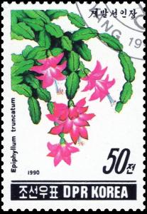Colnect-3579-556-Epiphyllum-truncatum.jpg