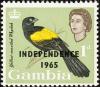 Colnect-1462-558-Yellow-mantled-Widowbird-Euplectes-macrourus---overprinted.jpg
