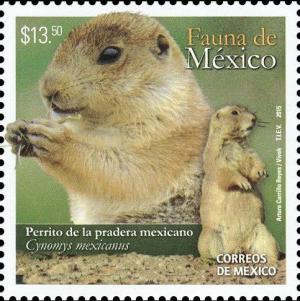 Colnect-3069-641-Mexican-Prairie-Dog-Cynomys-mexicanus.jpg
