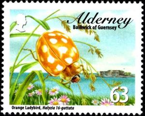 Colnect-4424-028-Orange-Ladybird-Halyzia-sedecimguttata-.jpg