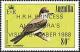 Colnect-1925-355-Gray-Kingbird-Tyrannus-dominicensis.jpg