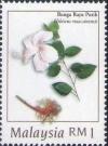 Colnect-1049-102-Hibiscus-rosa-sinensis.jpg