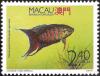 Colnect-1484-478-Paradise-Fish-Macropodus-opercularis.jpg