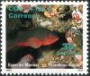 Colnect-2198-511-Creole-Fish-Paranthias-furcifer.jpg