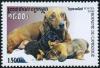 Colnect-4091-372-Dachshund-Canis-lupus-familiaris-with-Pups.jpg