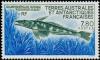 Colnect-886-902-Mackarel-Icefish-Champrocephalus-gunnari.jpg
