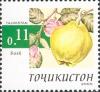 Stamps_of_Tajikistan%2C_005-05.jpg