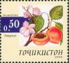 Stamps_of_Tajikistan%2C_008-05.jpg