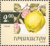 Stamps_of_Tajikistan%2C_011-05.jpg