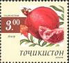 Stamps_of_Tajikistan%2C_012-05.jpg