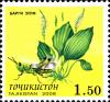 Stamps_of_Tajikistan%2C_022-08.jpg
