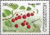 Stamps_of_Uzbekistan%2C_2007-23.jpg