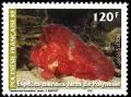 Colnect-649-004-Leaf-Scorpionfish-Taenianotus-triacanthus-.jpg