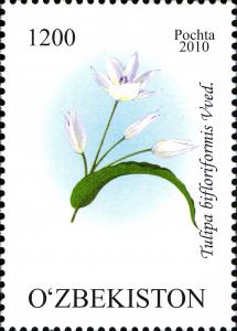 Stamps_of_Uzbekistan%2C_2010-70.jpg