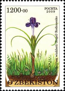 Stamps_of_Uzbekistan%2C_2010-02.jpg