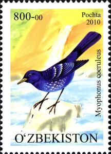 Stamps_of_Uzbekistan%2C_2010-15.jpg