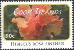 Colnect-2209-646-Hibiscus-rosa-sinensis.jpg