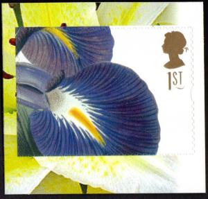 Colnect-2327-789-Iris-latifolia-Ehret.jpg