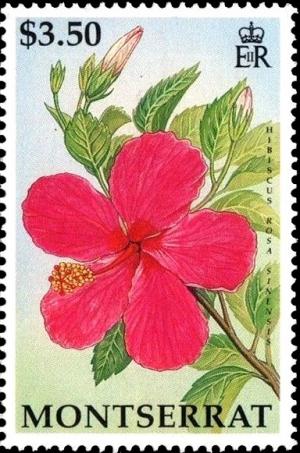 Colnect-2757-367-Hibiscus-rosasinensis.jpg