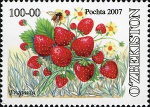 Stamps_of_Uzbekistan%2C_2007-21.jpg
