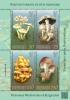 Colnect-5656-692-Poisonous-Mushrooms.jpg