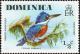 Colnect-1747-244-Ringed-Kingfisher-Streptoceryle-torquata.jpg