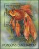 Colnect-2047-967-Goldfish-Carassius-auratus.jpg