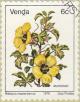 Colnect-3017-468-Hibiscus-mastersianus.jpg