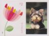 Colnect-5271-620-Flower-with-Personalizable-Label.jpg