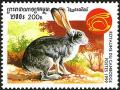 Colnect-2715-840-Rabbit-Family-Leporidae.jpg
