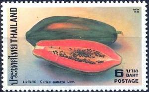 Colnect-2215-335-Fruits--Carica-papaya.jpg