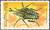 Colnect-4961-919-Giant-African-Fruit-Beetle-Chelorrhina-polyphemus.jpg