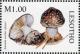 Colnect-1736-205-Amanita-excelsa%C2%A0spissa.jpg