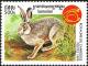 Colnect-2715-841-Rabbit-Family-Leporidae.jpg